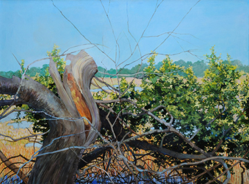 Bald Head Island Marsh by Elizabeth Bradford at Les Yeux du Monde Art Gallery